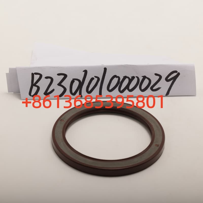 #B230101000029 Oil Seal