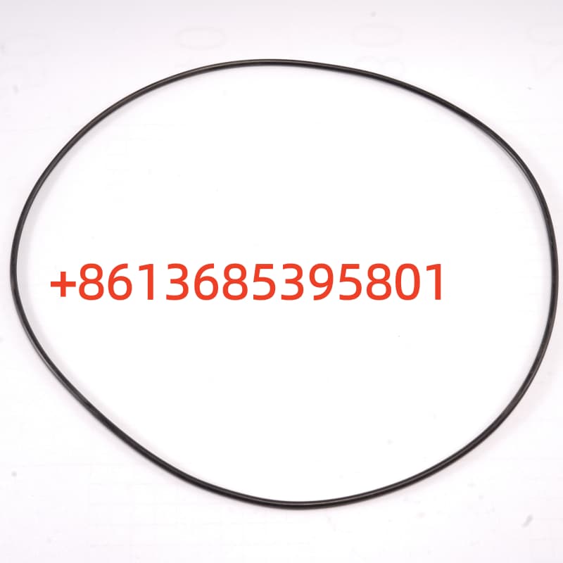 #A230101000586 O-ring