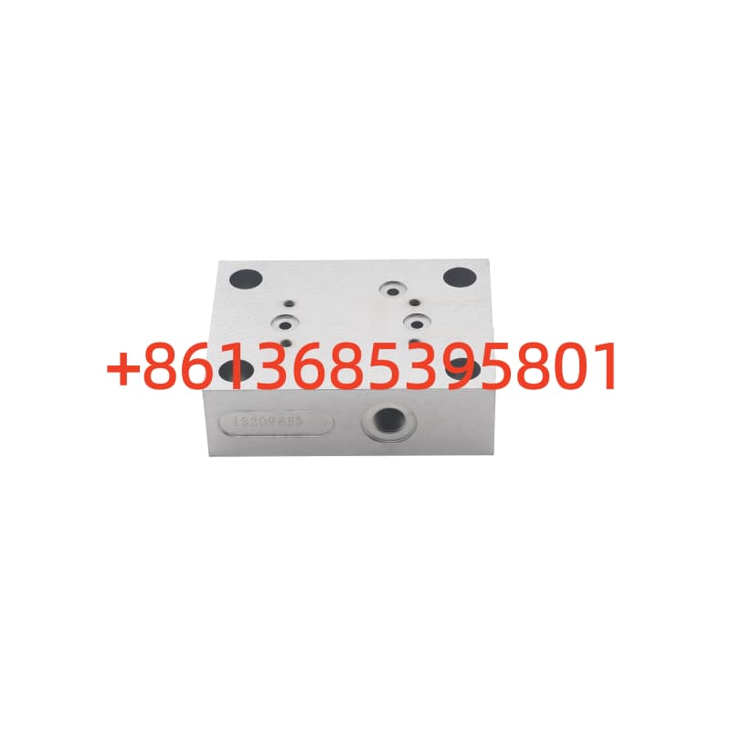#13209653 Flushing Valve Block SSR200H.4.2-10