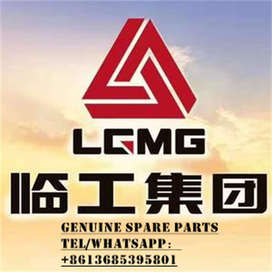 2601000079 Air Filter 11110533 (P783612) LGMG Original Part