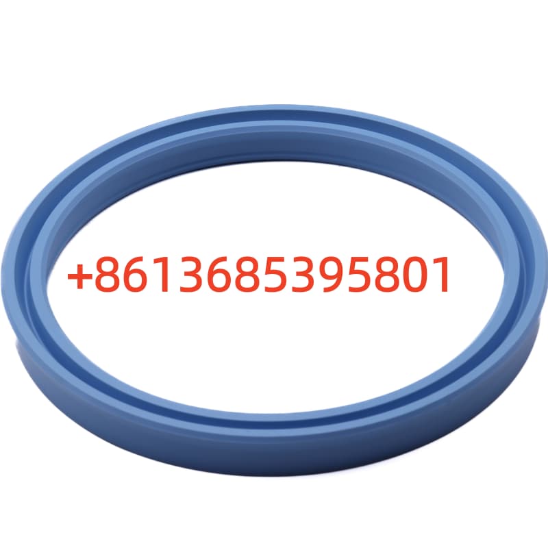 #A880806030001 ZBR Sealing Ring
